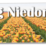 Tulpen_header41.png